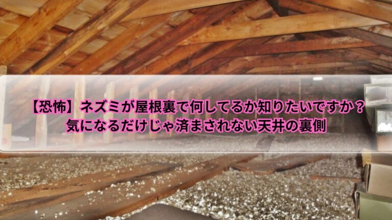 ネズミ　屋根裏　何してる
